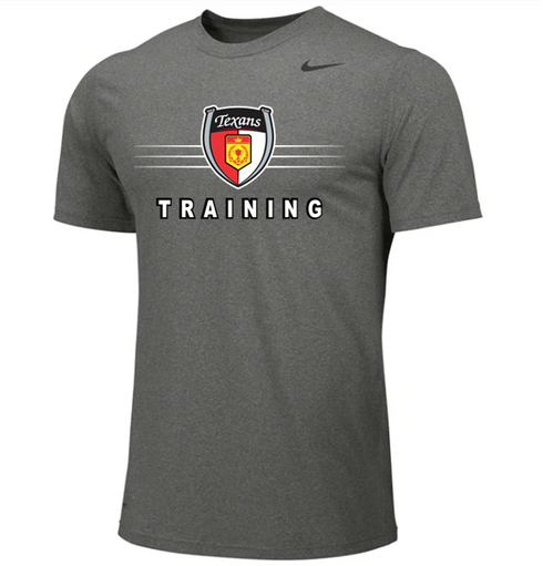 Nike Dri-FIT Legend Tee - Carbon Heather