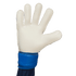 Adidas Predator Match Goalkeeper Gloves