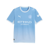 A light blue Manchester City home jersey with white trim, featuring the team crest, Puma logo, and Etihad Airways sponsor against a subtle blue gradient.