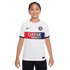 Nike Paris Saint-Germain 23/24 Youth Away Jersey DX2767-101