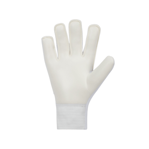 Nike Match Youth Goalkeeper Gloves FJ4864-100