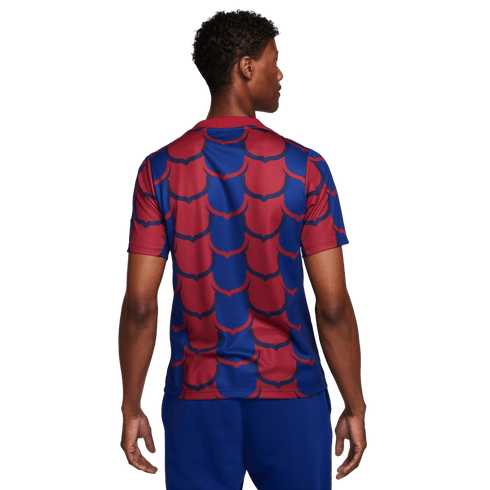 Nike Barcelona Academy Pre-Match Jersey FJ5430-456