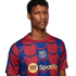 Nike Barcelona Academy Pre-Match Jersey FJ5430-456