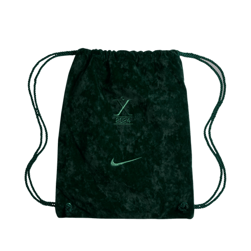 Nike Tiempo Legend 10 Elite 30 Anniversary SE Firm Ground Cleats FZ1578-100