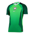 A green Nike Nigeria football jersey with dark green patterns, white trim, and the Nigeria Football Federation crest and Nike logo centered on the chest.
