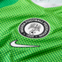 Close-up of a green Nike Nigeria football jersey with dark green polka dots, featuring the Nigeria Football Federation crest and a white swoosh logo.