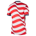 Nike USA USMNT Supporters Home Shirt