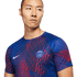 Nike Paris Saint-Germain Pre-Match Jersey DR1487-418