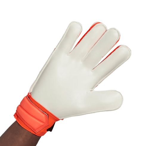 Adidas Predator Training Goalkeeper Gloves