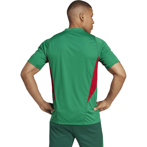 Adidas Mexico Training Jersey