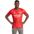 Adidas Arsenal Pre-Match Jersey HZ2193