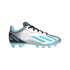 Adidas X Crazyfast Messi.4 Youth Firm Ground Cleats IE4071