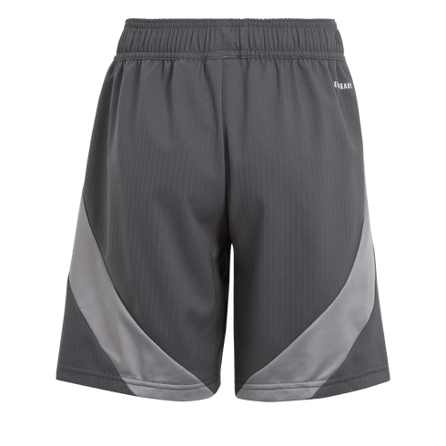 adidas Youth Tiro 24 Competition Match Shorts - Grey IV7291