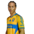 A young man with braided hair wearing a yellow and blue Tigres UANL soccer jersey with sponsor logos, set against a plain white background.