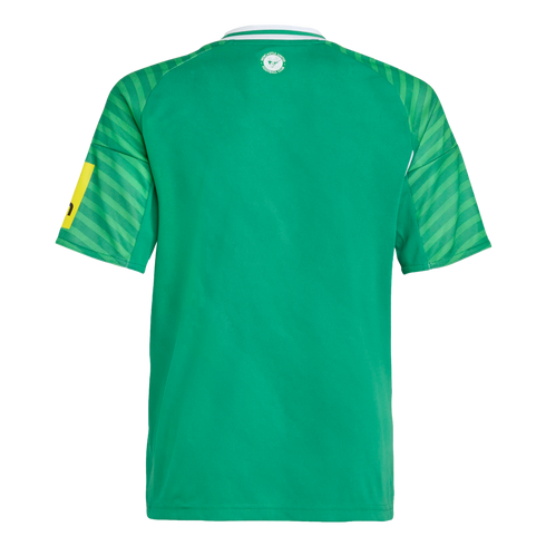 Back view of a green Newcastle United football jersey featuring striped raglan sleeves and a small club crest on the upper back.