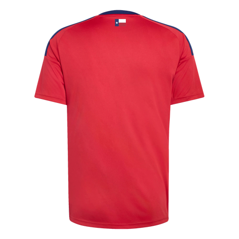 Back view of a red short-sleeved athletic jersey with navy shoulder trim and a small Texas flag below the collar.