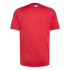 Back view of a red short-sleeved athletic jersey with navy shoulder trim and a small Texas flag below the collar.