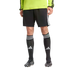 Adidas Referee 26 Shorts