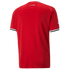 Puma Egypt EFA 2022 Home Jersey