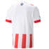 Puma PSV Eindhoven 22/23 Home Jersey