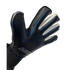 Aviata Stretta Big Bang Kelle Roos Goalkeeper Gloves