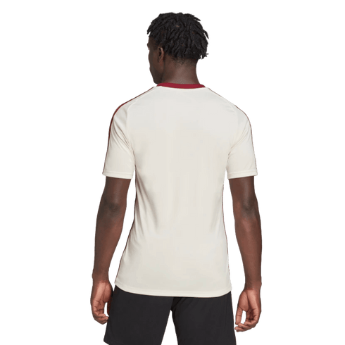 Adidas Mexico 2022 Away Fan Shirt