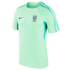 Nike Brazil Strike Training Top DH6441-390