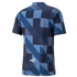 Puma Manchester City Pre-Match Jersey 769466-12