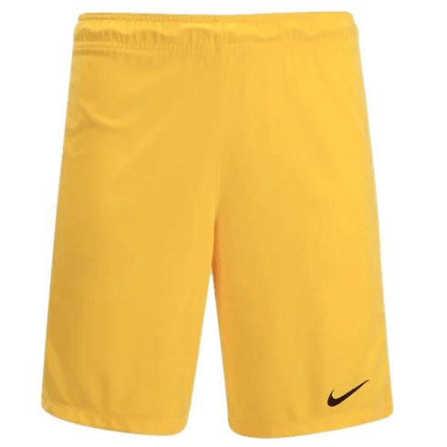 Nike League Knit Goalkeeper Shorts 725897-719