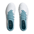 Adidas Predator Accuracy.3 Youth Firm Ground Cleats ID9334