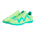 Puma Future Play Turf Shoes 107191-03