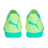 Puma Future Play Turf Shoes 107191-03