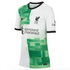 Nike Liverpool 23/24 Youth Away Jersey DX2764-101