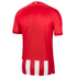 Nike Atletico Madrid 23/24 Home Jersey DX2680-613