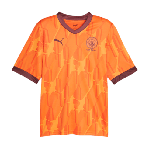 Puma Manchester City Esports Jersey 772842-09