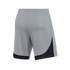 Nike Dri-FIT Classic II Shorts - Grey DH8127-012