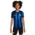 Nike Inter Milan 23/24 Youth Home Jersey DX2763-409