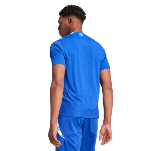 Adidas Argentina 2024 Authentic Away Jersey IP8384