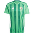 Adidas Northern Ireland 2024 Home Jersey IQ0781