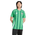 Adidas Northern Ireland 2024 Home Jersey IQ0781