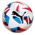 Puma Cumbre CONMEBOL Copa America Training Ball 084497-01