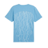 Puma Manchester City Pre-Match Jersey 777578-21