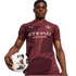 Puma Manchester City 24/25 Authentic Third Jersey 775096-03