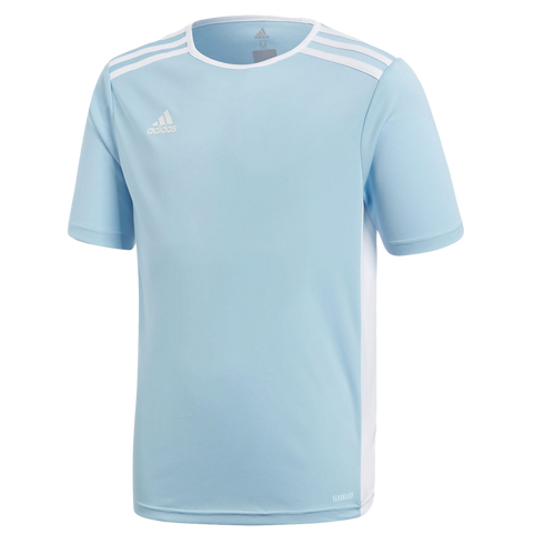 Adidas Entrada 18 Youth Jersey - Blue CF1045