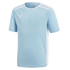 Adidas Entrada 18 Youth Jersey - Blue CF1045