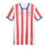 White football jersey with red spray-painted vertical stripes, blue collar and sleeve cuffs, blue Puma logo, and the APF Paraguay national team crest.