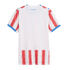 Back view of a white Paraguay soccer jersey with red textured stripes, blue trim on sleeves and shoulders, and "PARAGUAY" printed in blue on the upper back.