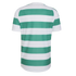 Back view of a short-sleeved football jersey featuring green and white horizontal stripes, or hoops. The top neck area and sleeve cuffs are white.