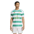 A young man modeling a green and white horizontal striped football jersey with gold logos and matching white shorts against a plain white background.