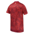 Back view of a red short-sleeved jersey with an abstract, mottled pattern and thin white lightning-like veins. A small logo sits below the collar.